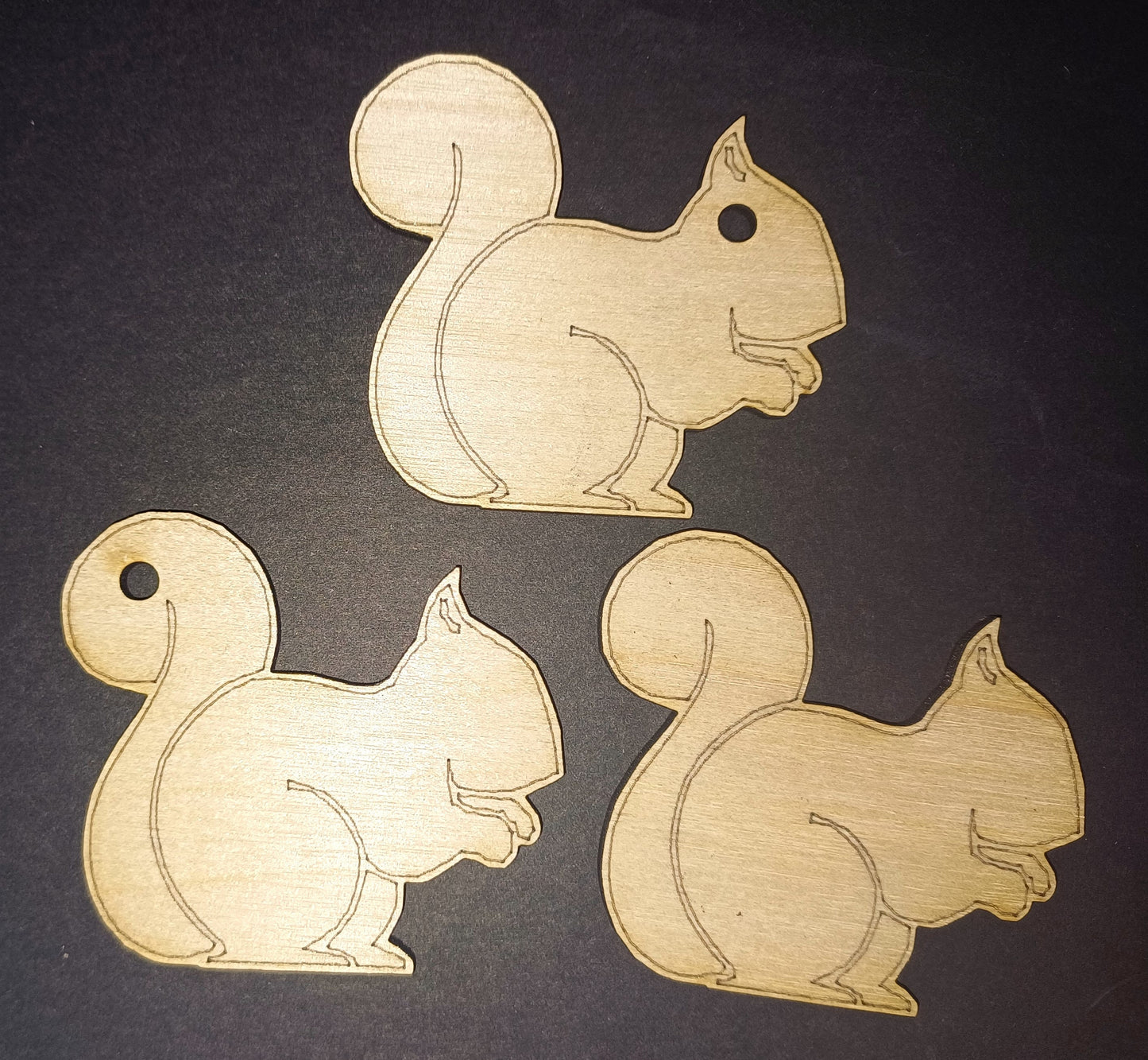 10 x Squirrel Craft shapes 3mm plywood lasercut wildlife woodland nature